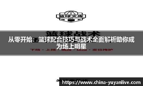 从零开始：篮球配合技巧与战术全面解析助你成为场上明星